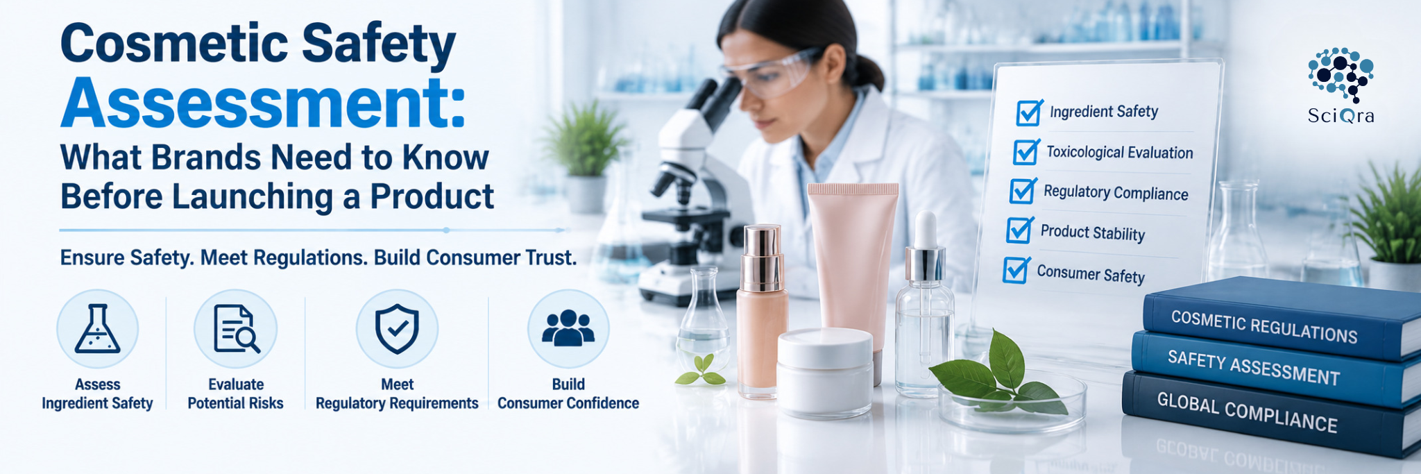 Cosmetic ingredient safety evaluation guide